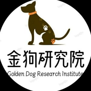 金狗研究院|GoldDogResearch Institute